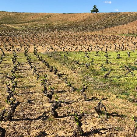 Boutique Finca Esencial فيلافرانكا ديل بيرزو المظهر الخارجي الصورة