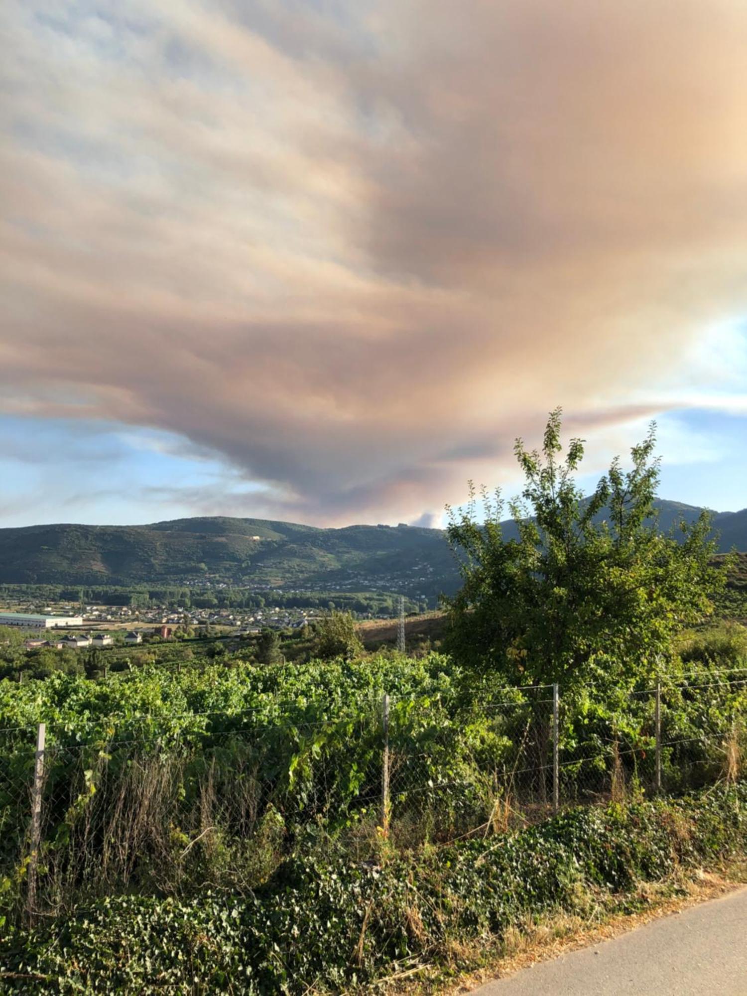 Boutique Finca Esencial فيلافرانكا ديل بيرزو المظهر الخارجي الصورة