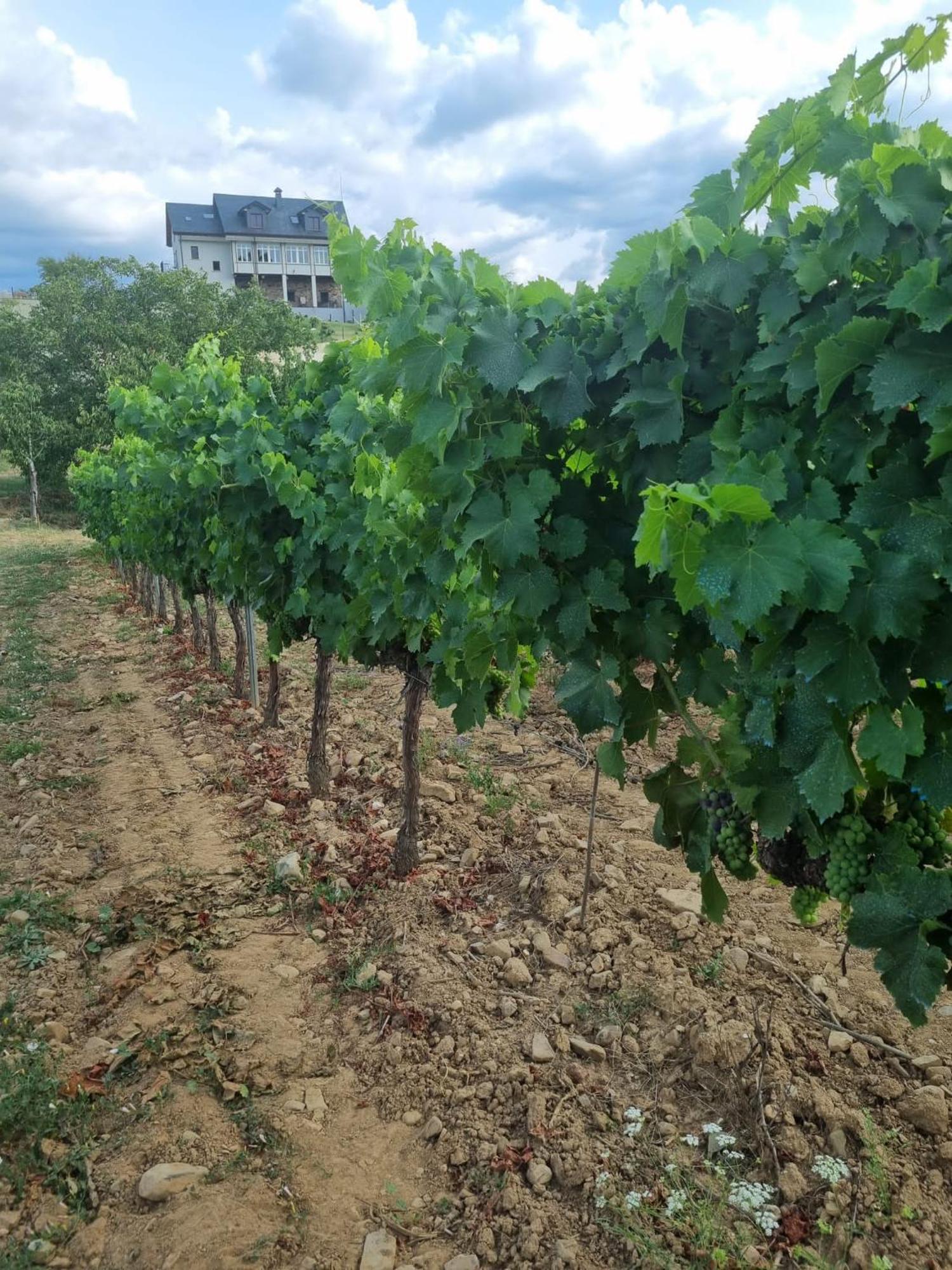 Boutique Finca Esencial فيلافرانكا ديل بيرزو المظهر الخارجي الصورة