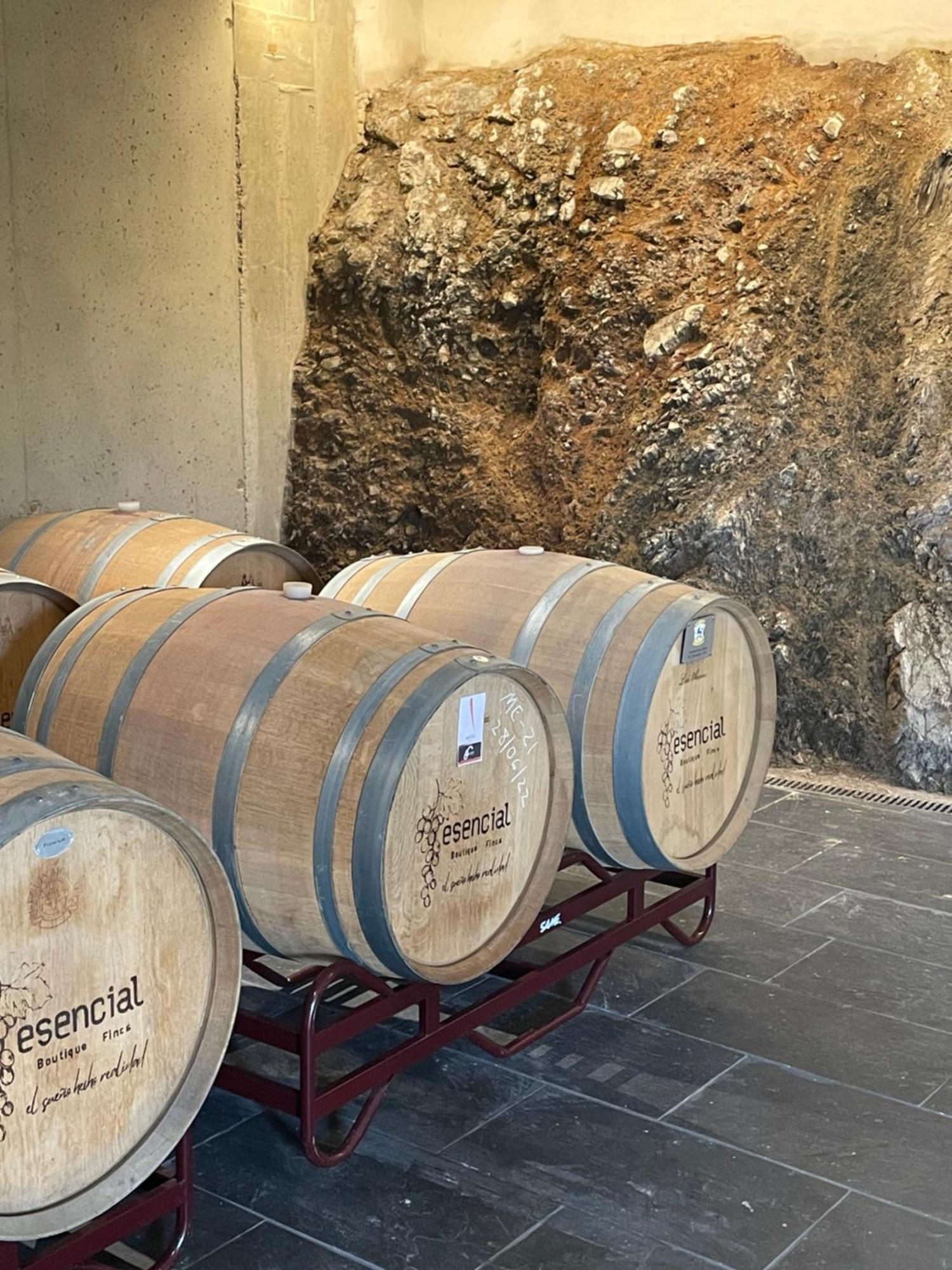 Boutique Finca Esencial فيلافرانكا ديل بيرزو المظهر الخارجي الصورة