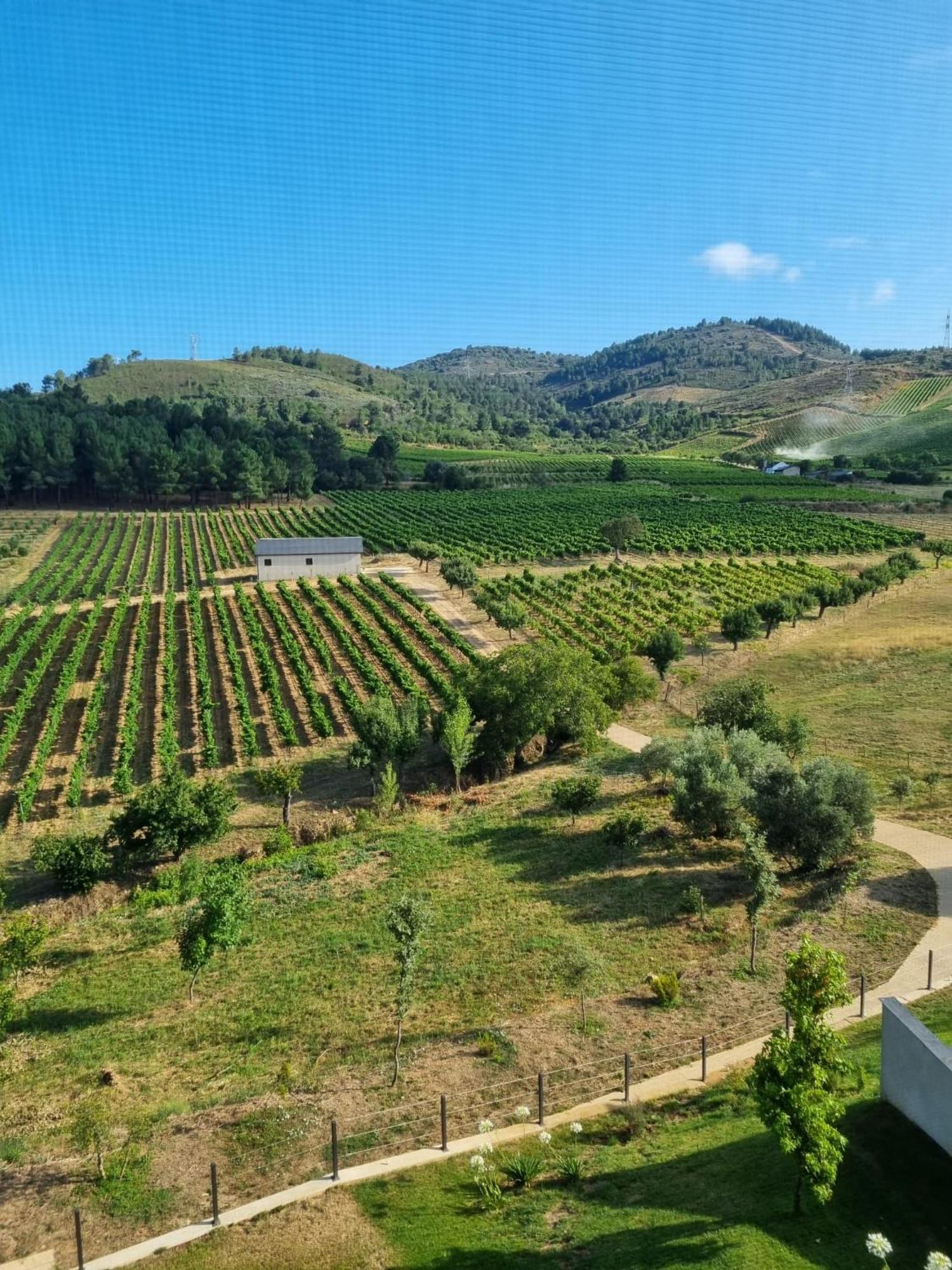 Boutique Finca Esencial فيلافرانكا ديل بيرزو المظهر الخارجي الصورة