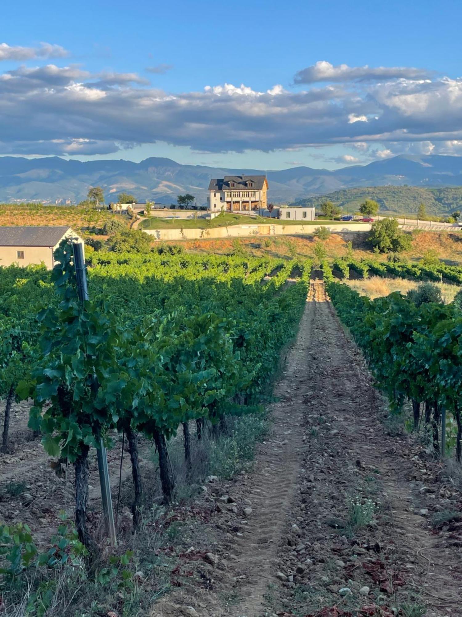 Boutique Finca Esencial فيلافرانكا ديل بيرزو المظهر الخارجي الصورة
